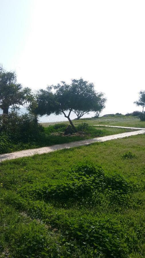 Il Mare Lárnaca Exterior foto