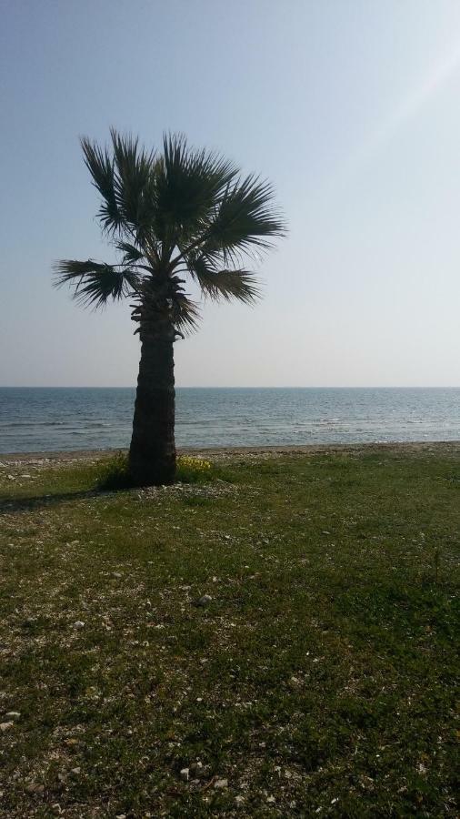 Il Mare Lárnaca Exterior foto
